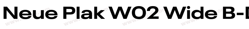Neue Plak W02 Wide B字体转换 Neue Plak W02 Wide B字体转换